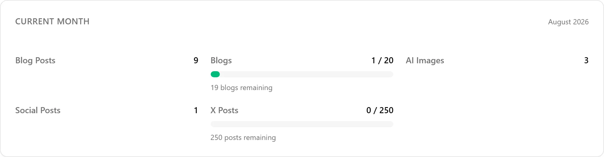 The Current Month card in Settings, Usage, showing Blog Posts, Blogs, AI Images and Social Posts counters for the signed-in organization.