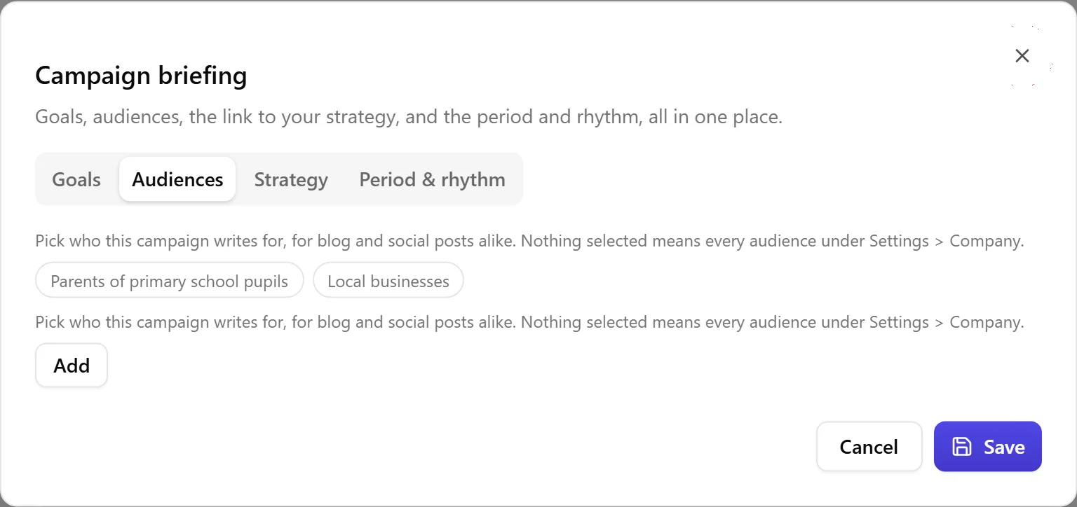 The campaign briefing dialog open on the Audiences tab, showing the pool of audiences under Settings > Company with the ones selected for this campaign checked.